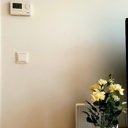 Near Lake Two Bedroom Fully Furnished Apartment Wien Exterior foto